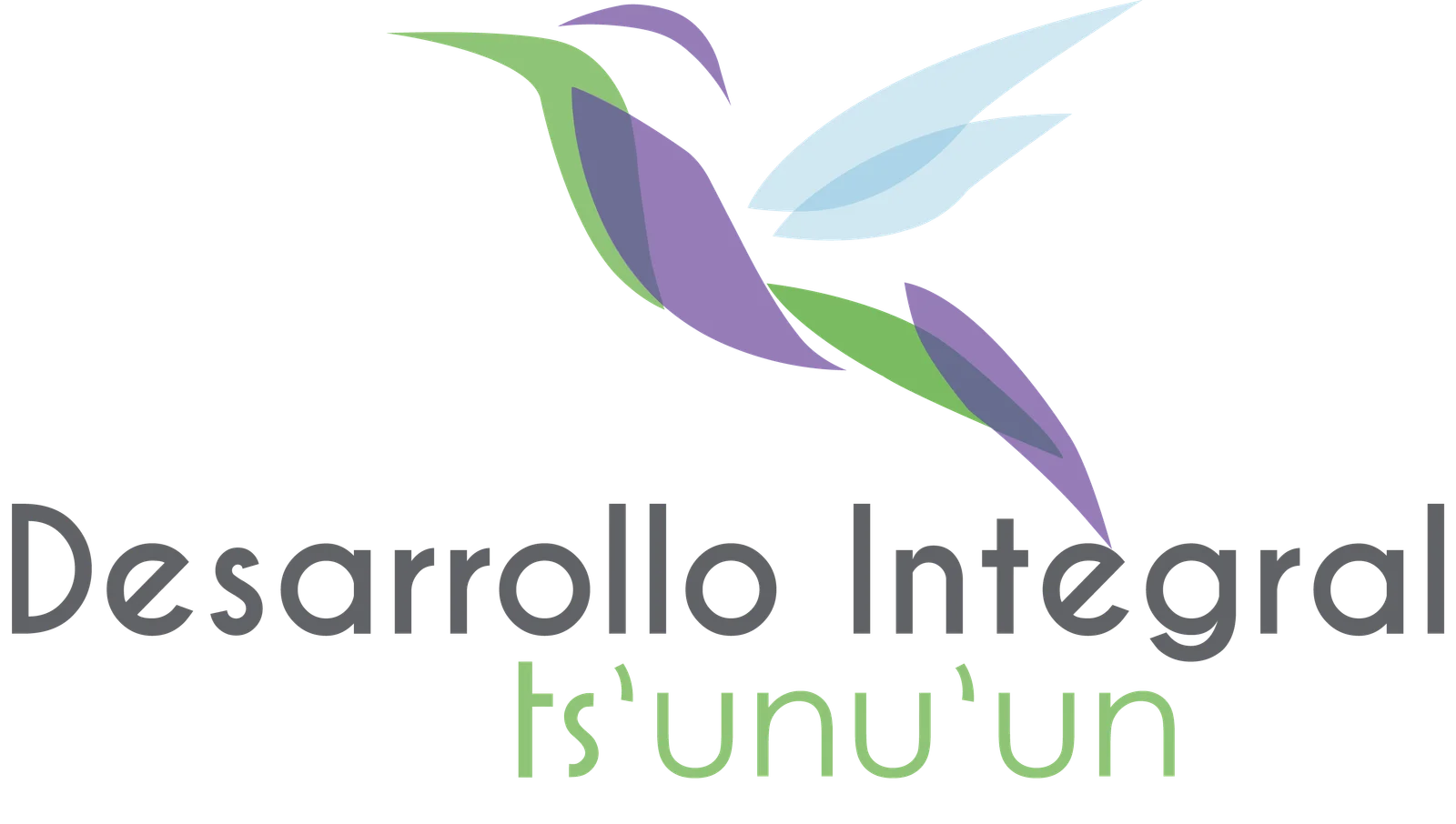 Logo de Desarrollo Integral Tsu'unu'un